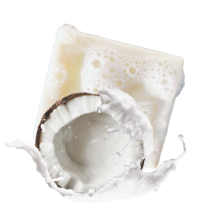 Vegan Coconut soaps