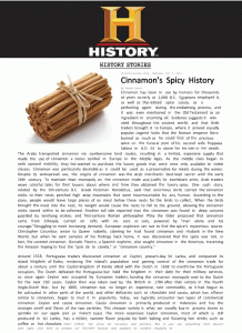 Ceylon Cinnamon - The spicy history