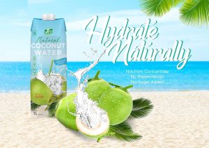 VICO 100% Natural Coconut Water 330ml Tetrapak NO added sugar