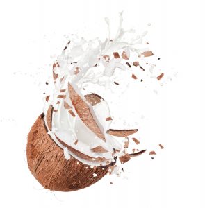 organic coconut milk