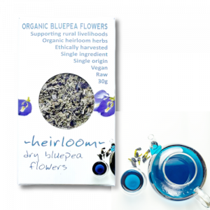Butterfly blue pea flower