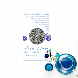 Butterfly blue pea flower tea pack with blue brew in tea pot