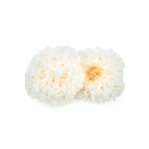 Dried snow fungus (Tremella fuciformis