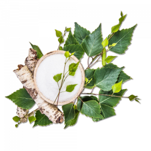 Premium Xylitol in a bowl, a natural sugar alternative.