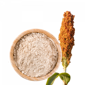 Sheaf of Red sorghum and red sorghum flour in bowl