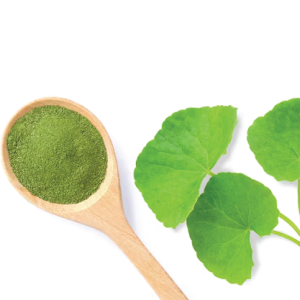 Centella Asiatica Powder