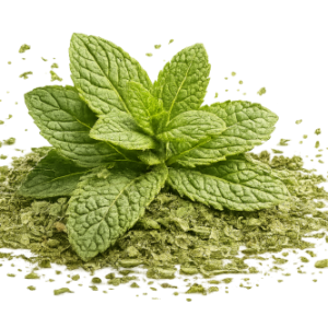 HEIRLOOM Dried Mint leaves